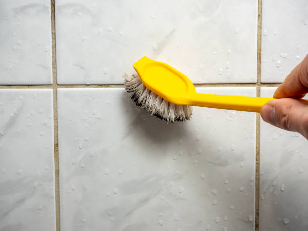 Best Post-Remediation Services in Cranston, RI