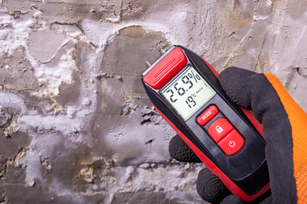 Best Mold Remediation for Specific Building Types in Cranston, RI