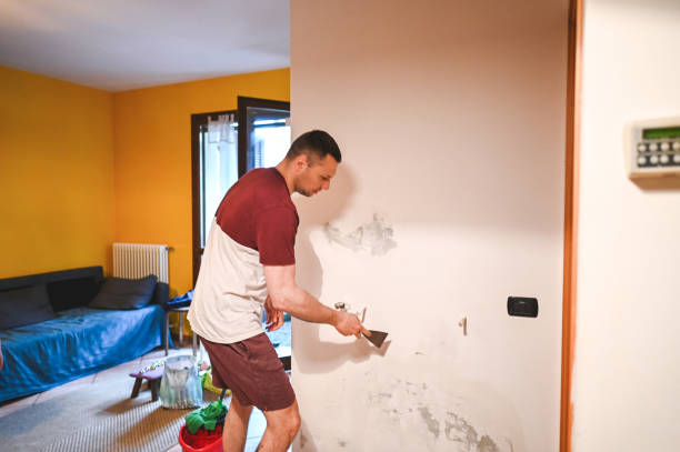Best Health and Safety Mold Remediation in Cranston, RI
